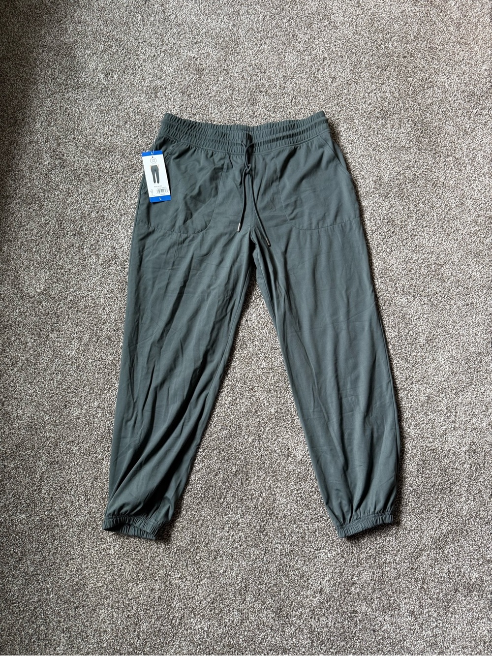 NWT Sage Collective Jogger Pants